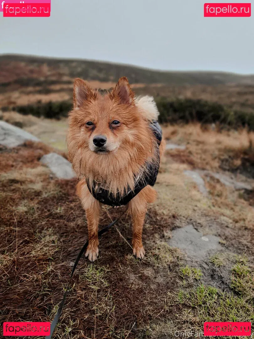 maebry Onlyfans Photo Gallery 