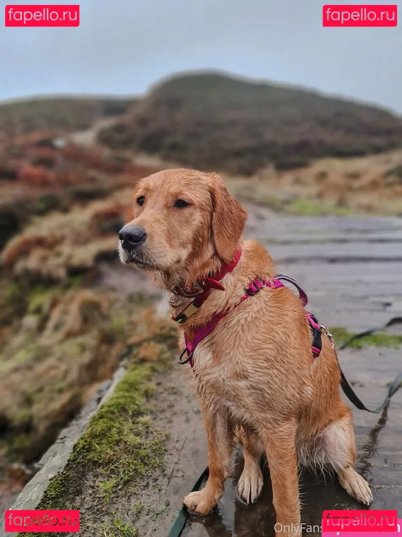 maebry Onlyfans Photo Gallery 