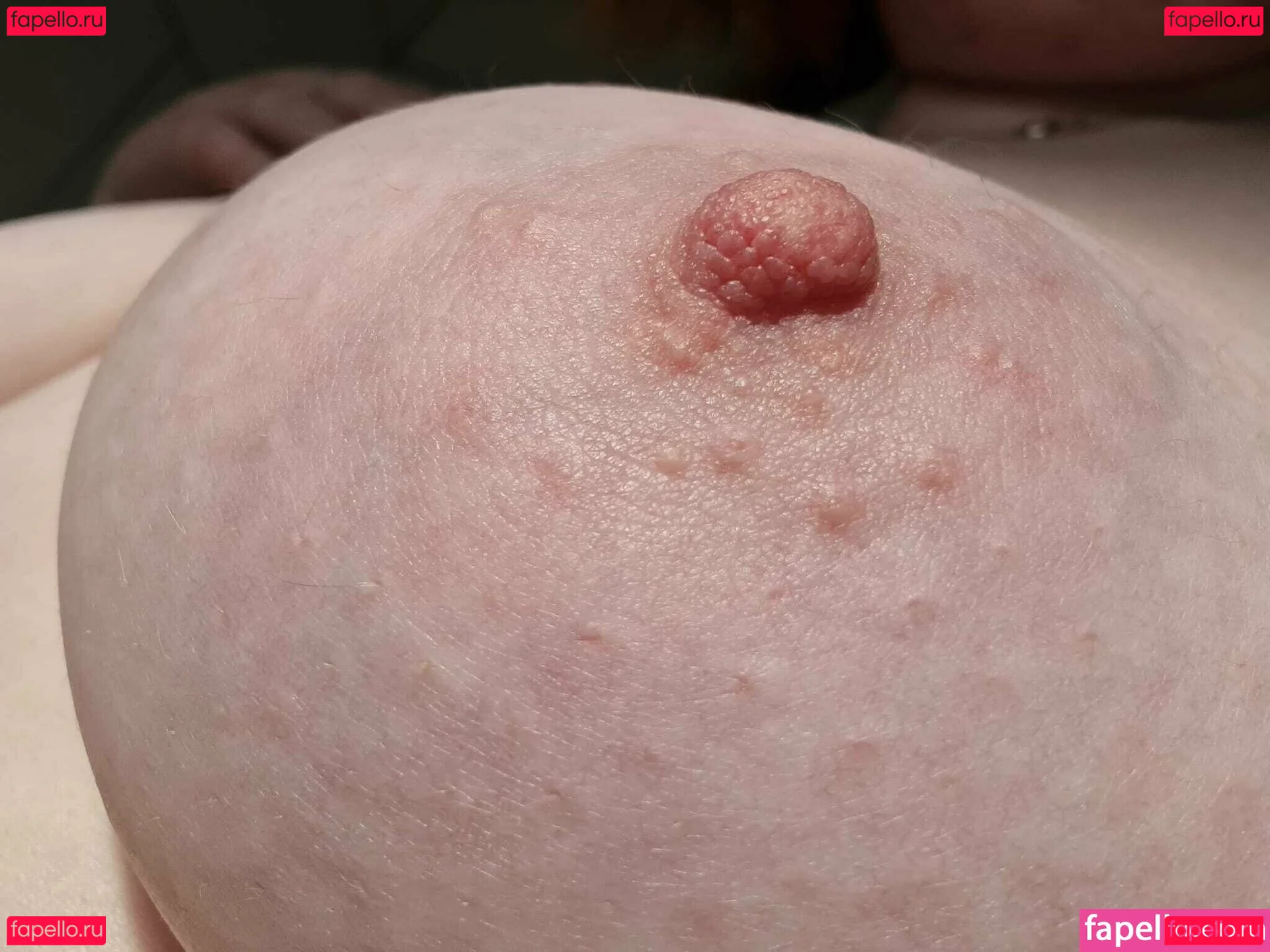 maebry Onlyfans Photo Gallery 