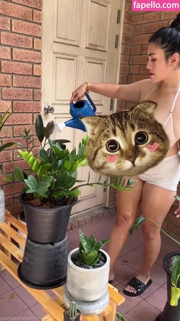 Aungsumalyn Onlyfans Photo Gallery 