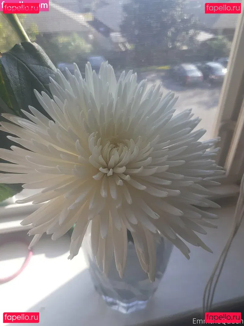 emmthequeen Onlyfans Photo Gallery 