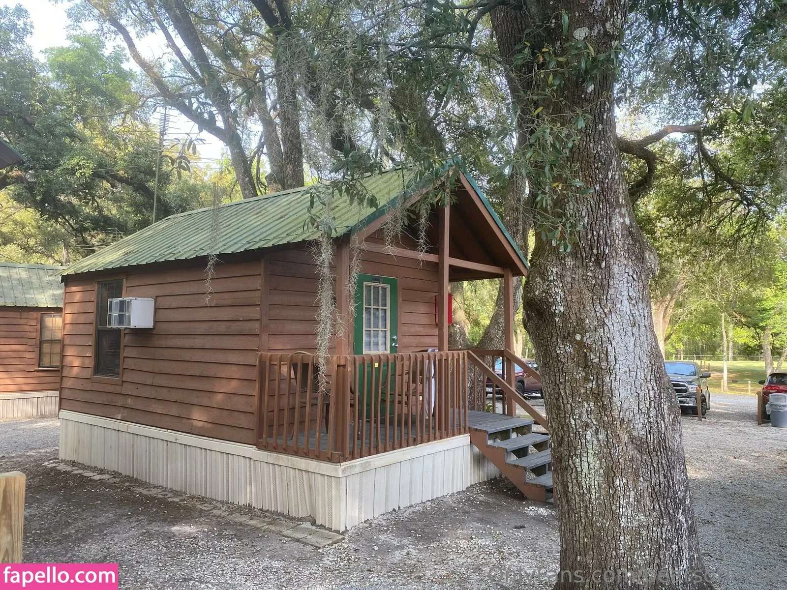 bearsorlando Onlyfans Photo Gallery 