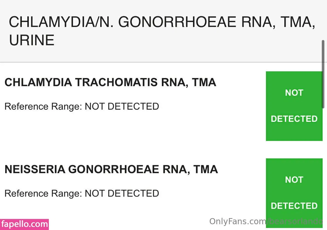 bearsorlando Onlyfans Photo Gallery 