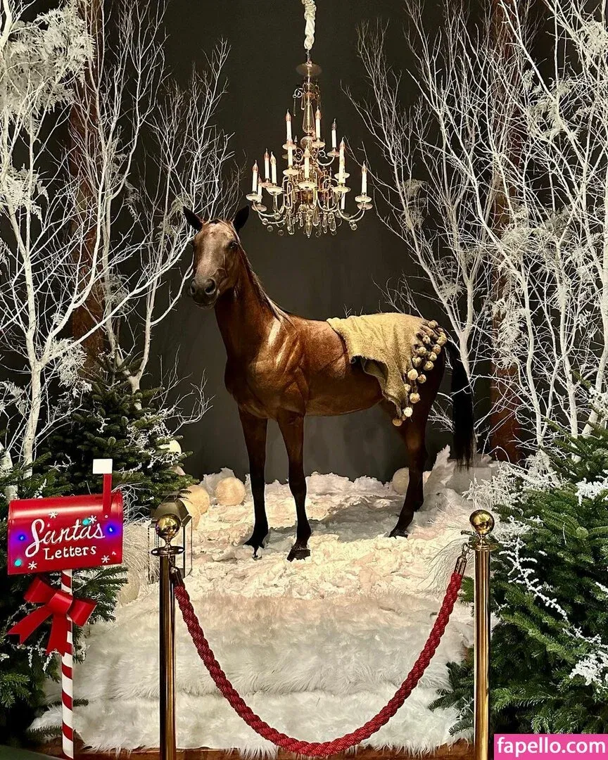 Andreea Ungur Onlyfans Photo Gallery 