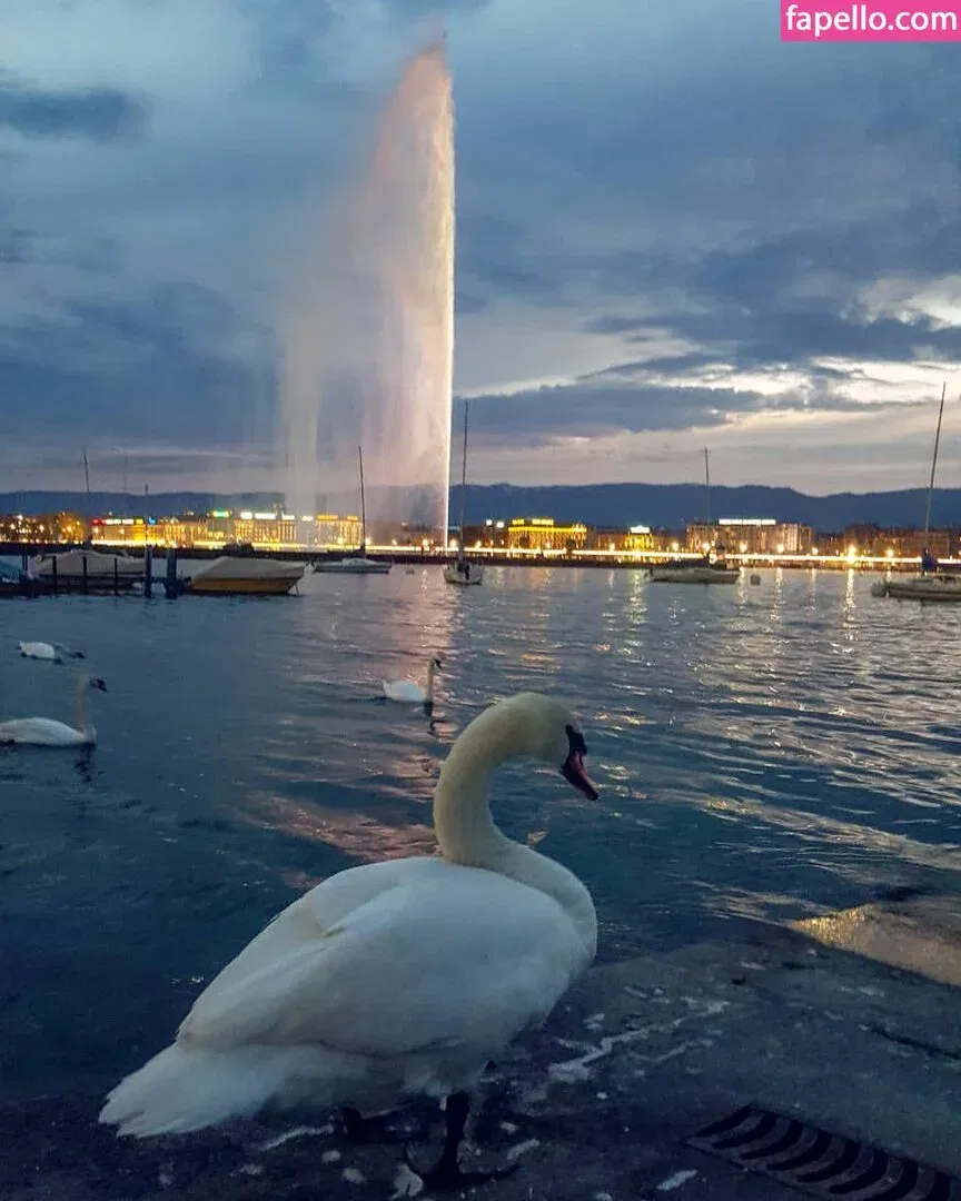 Andreea Ungur Onlyfans Photo Gallery 