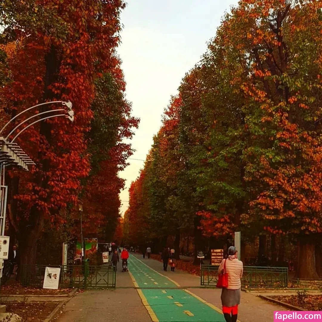 Andreea Ungur Onlyfans Photo Gallery 