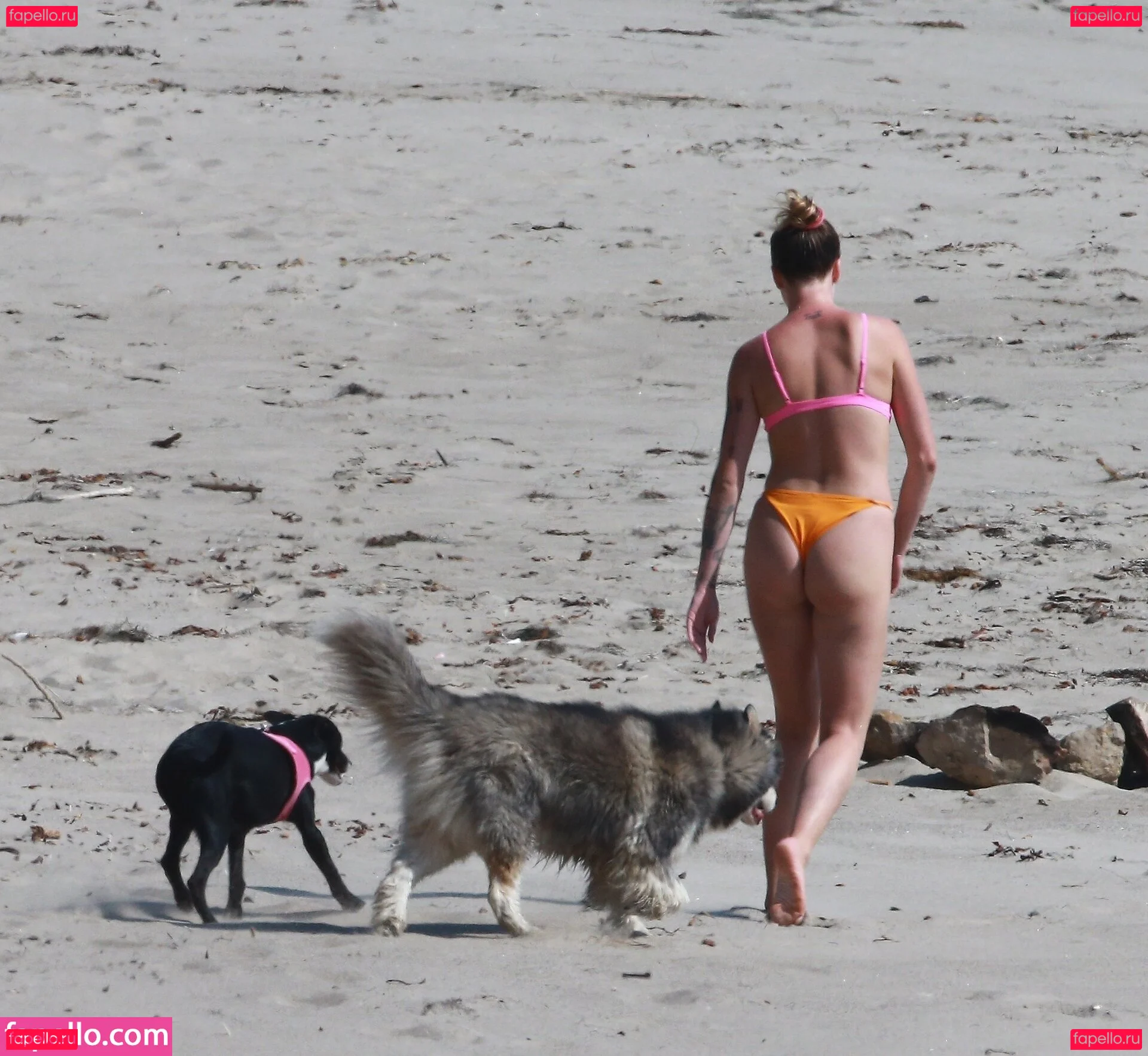 Ireland Baldwin Onlyfans Photo Gallery 