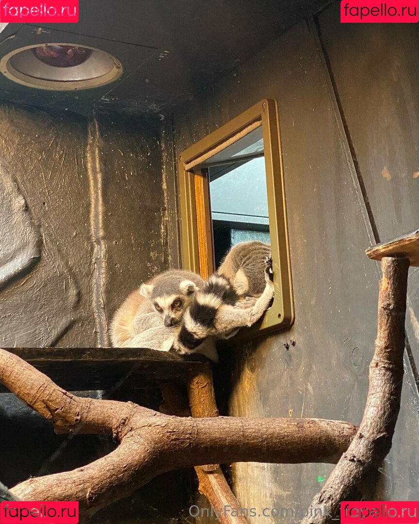 pink_freya_free Onlyfans Photo Gallery 