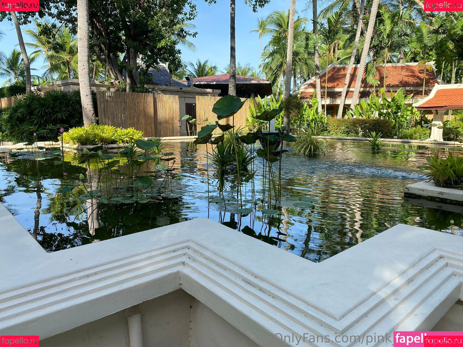 pink_freya_free Onlyfans Photo Gallery 