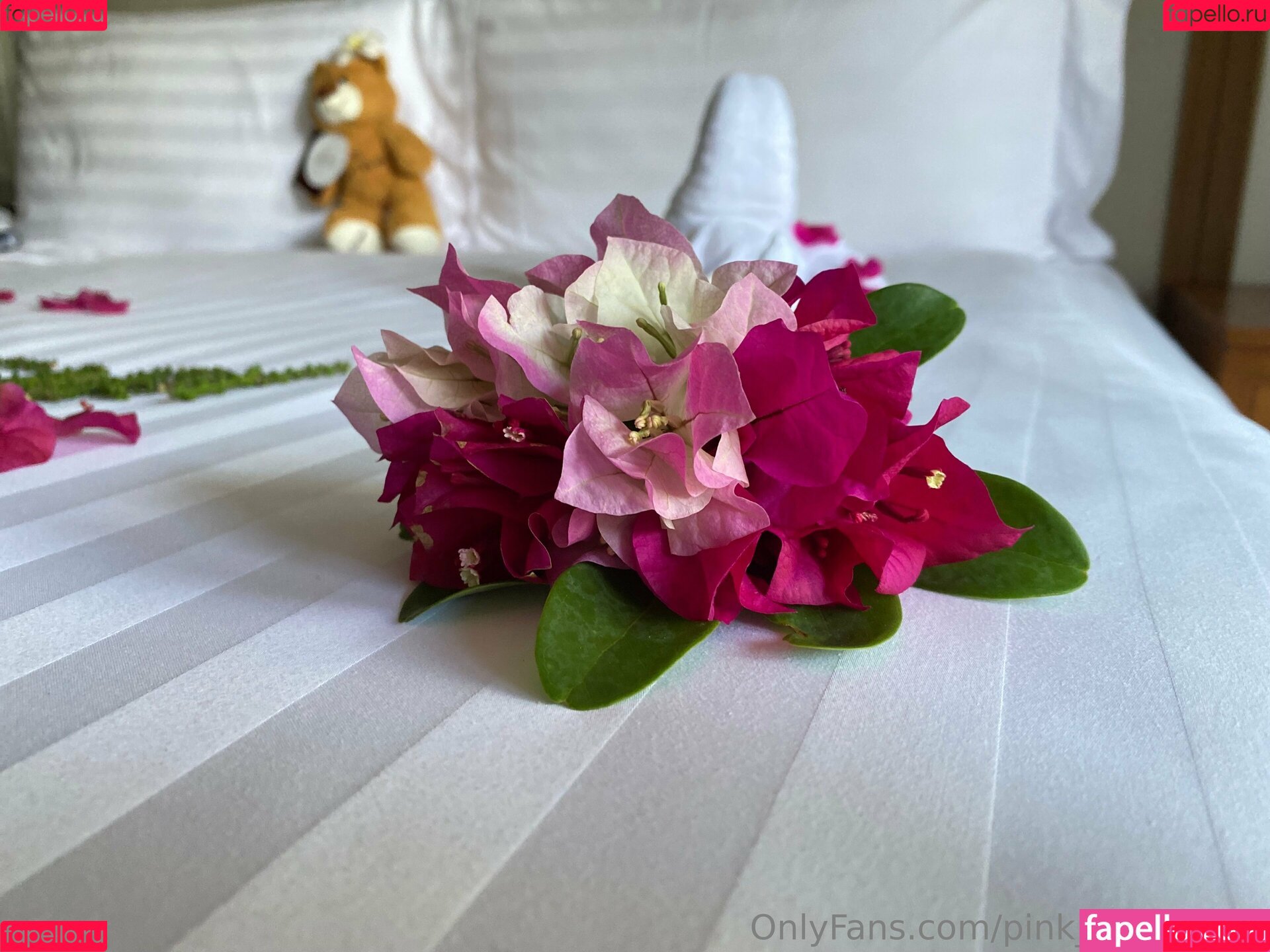 pink_freya_free Onlyfans Photo Gallery 