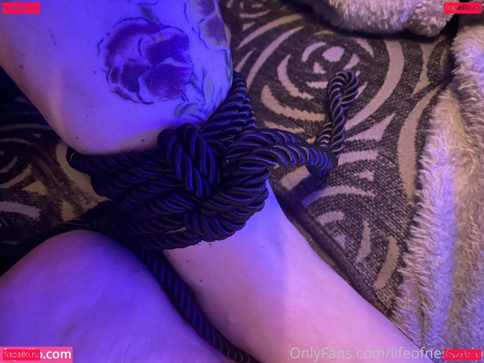 lifeofnessavip Onlyfans Photo Gallery 