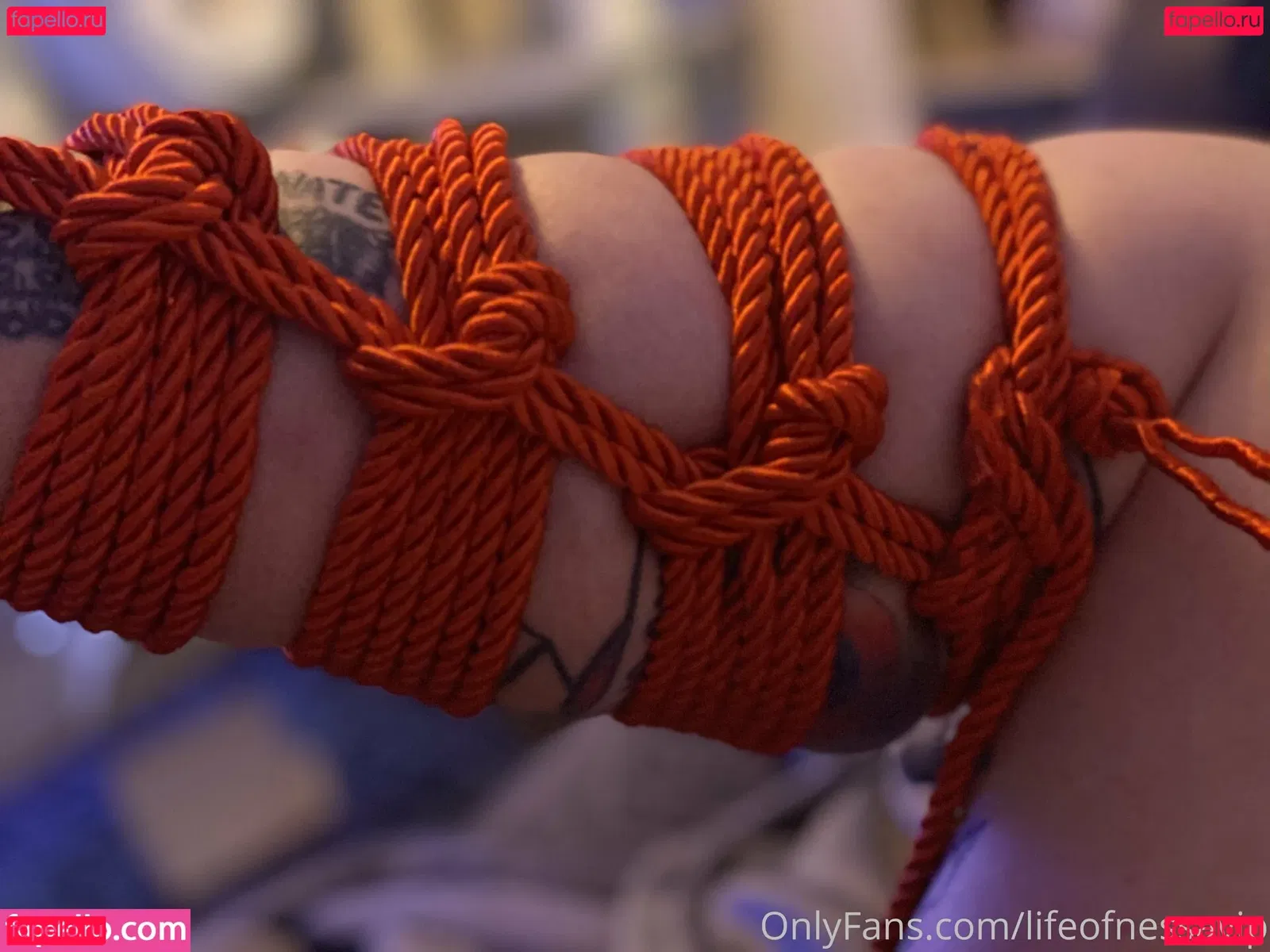 lifeofnessavip Onlyfans Photo Gallery 