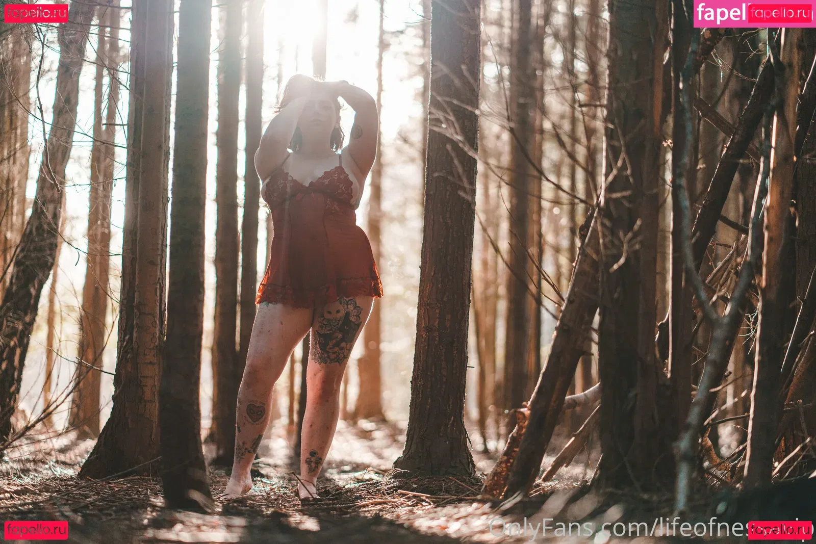 lifeofnessavip Onlyfans Photo Gallery 