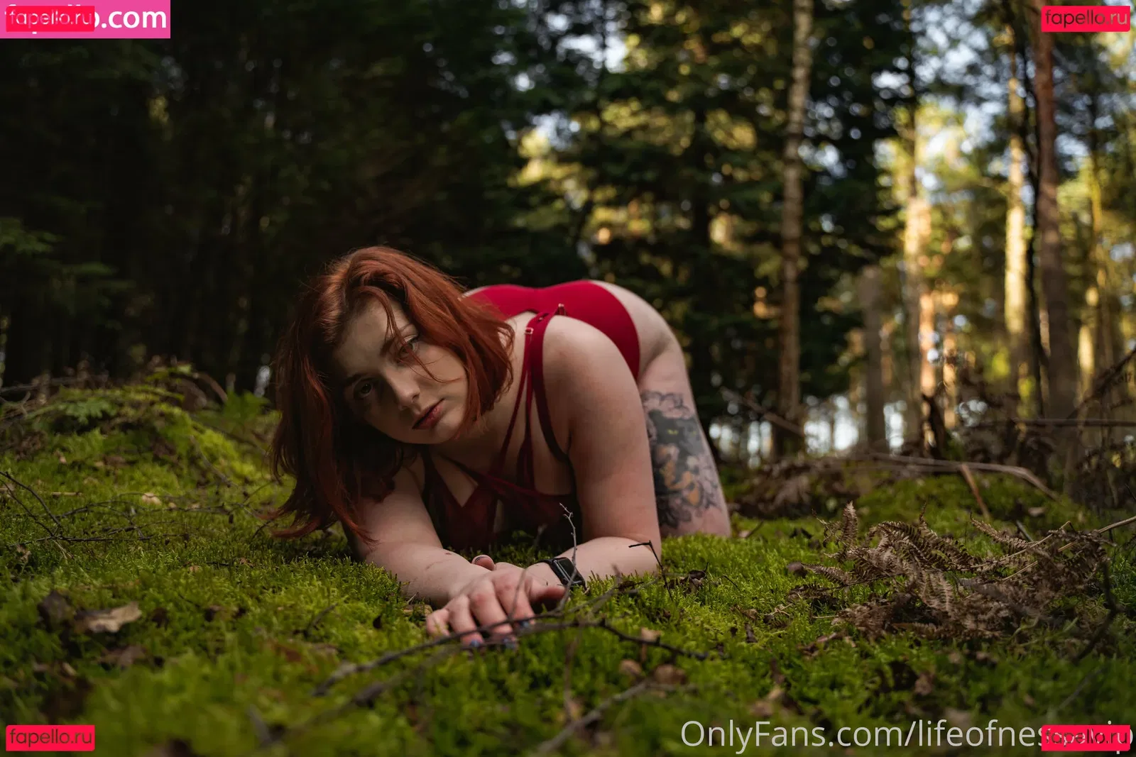 lifeofnessavip Onlyfans Photo Gallery 