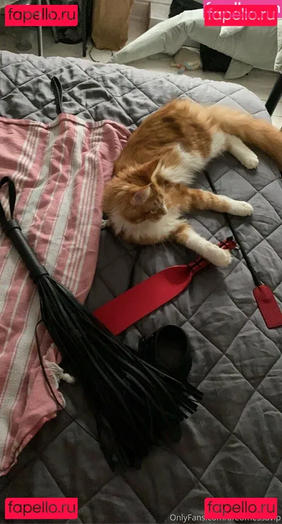 lifeofnessavip Onlyfans Photo Gallery 