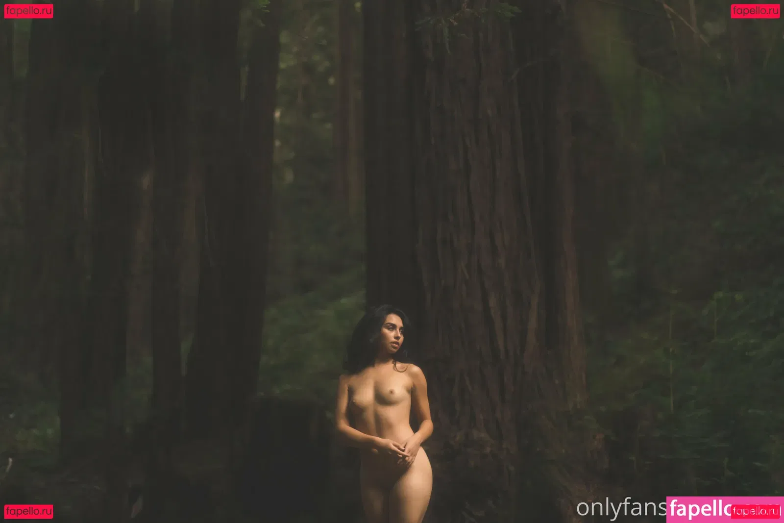 akamikebphoto Onlyfans Photo Gallery 