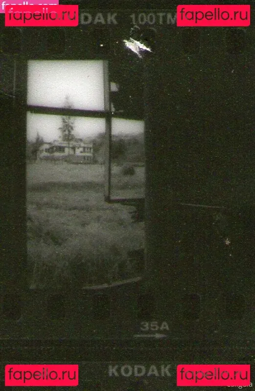 xxxcaligulaxxx Onlyfans Photo Gallery 