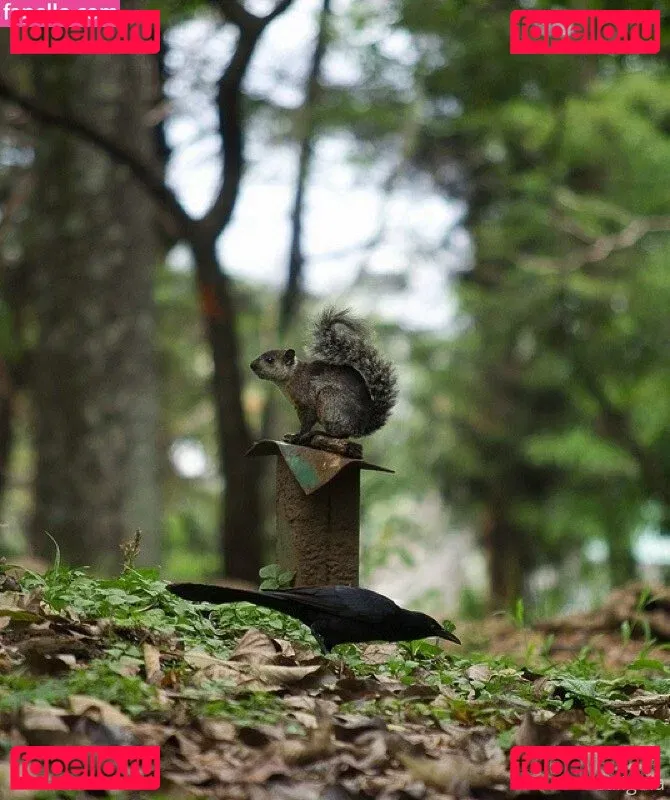 xxxcaligulaxxx Onlyfans Photo Gallery 