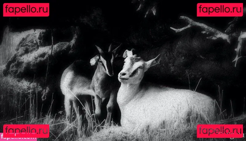 xxxcaligulaxxx Onlyfans Photo Gallery 