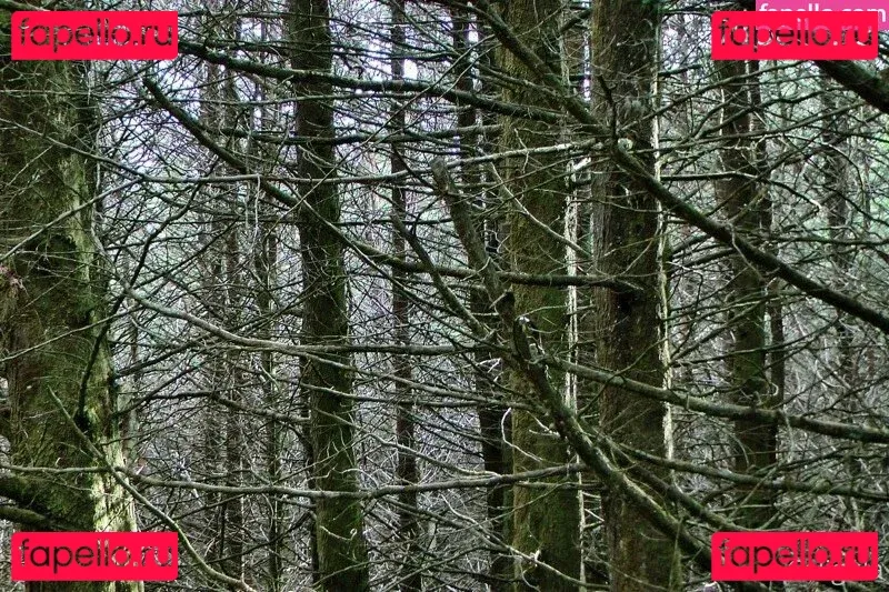 xxxcaligulaxxx Onlyfans Photo Gallery 