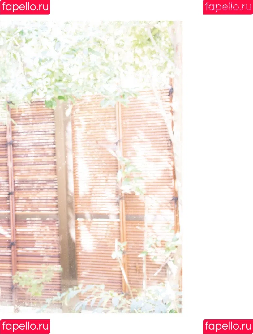 Bambi Watanabe Onlyfans Photo Gallery 