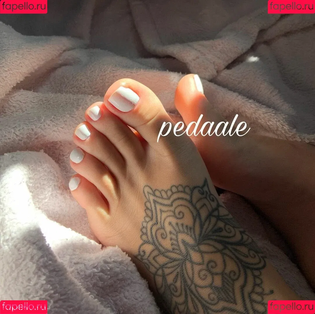 Pedaale Onlyfans Photo Gallery 