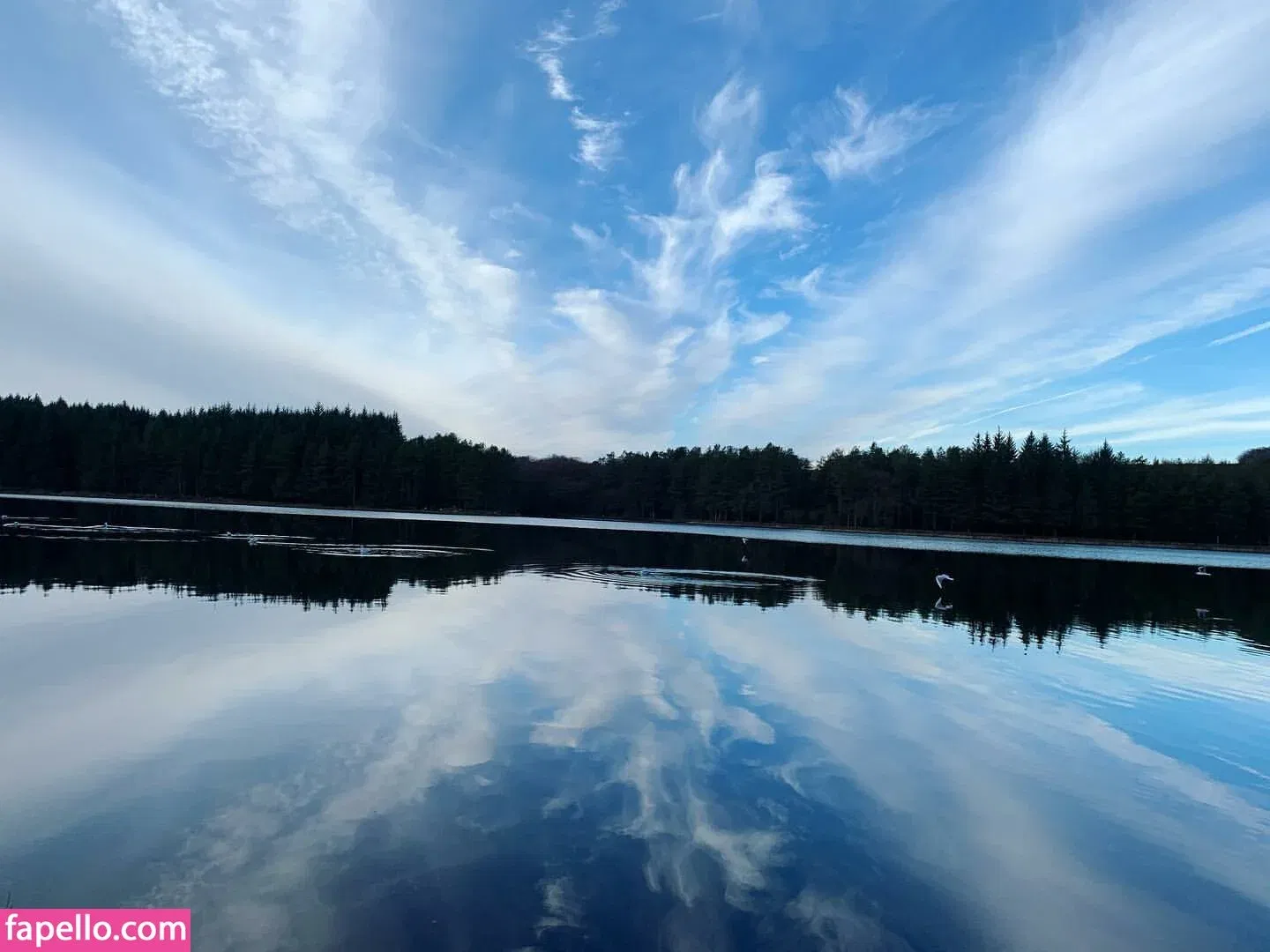 MyProtein Onlyfans Photo Gallery 