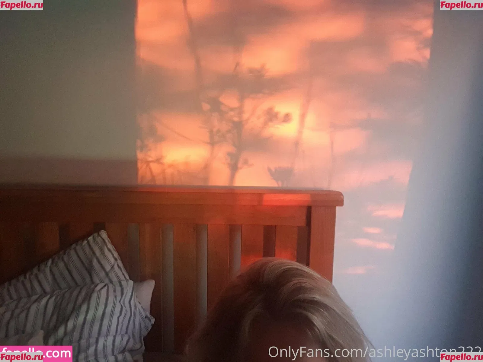Ashley Ashton Onlyfans Photo Gallery 