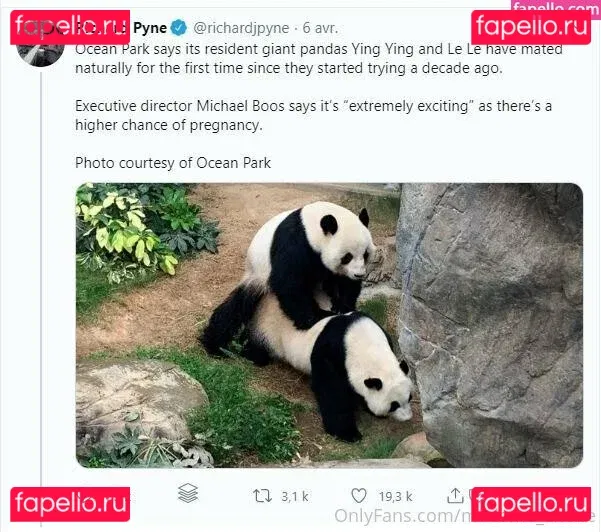 madame_cherie Onlyfans Photo Gallery 