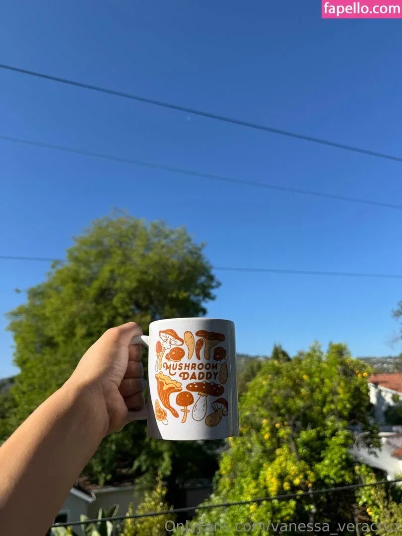 Vanessa Veracruz Onlyfans Photo Gallery 