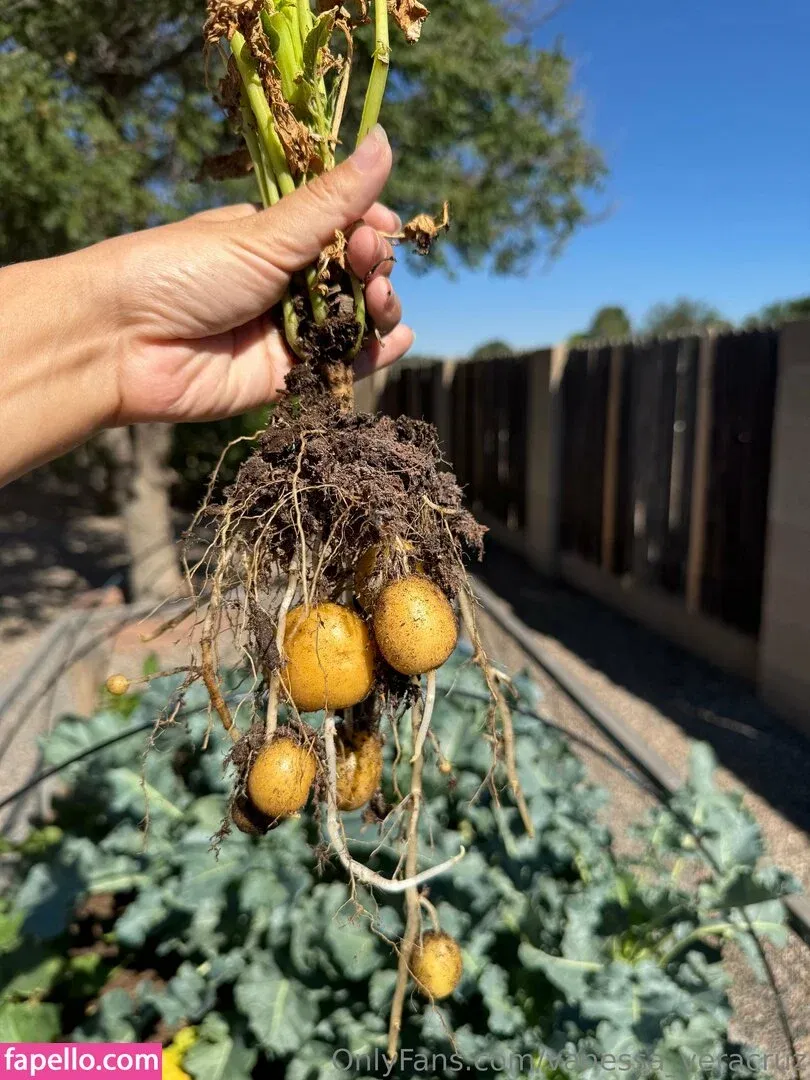 Vanessa Veracruz Onlyfans Photo Gallery 