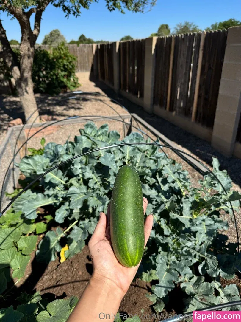 Vanessa Veracruz Onlyfans Photo Gallery 