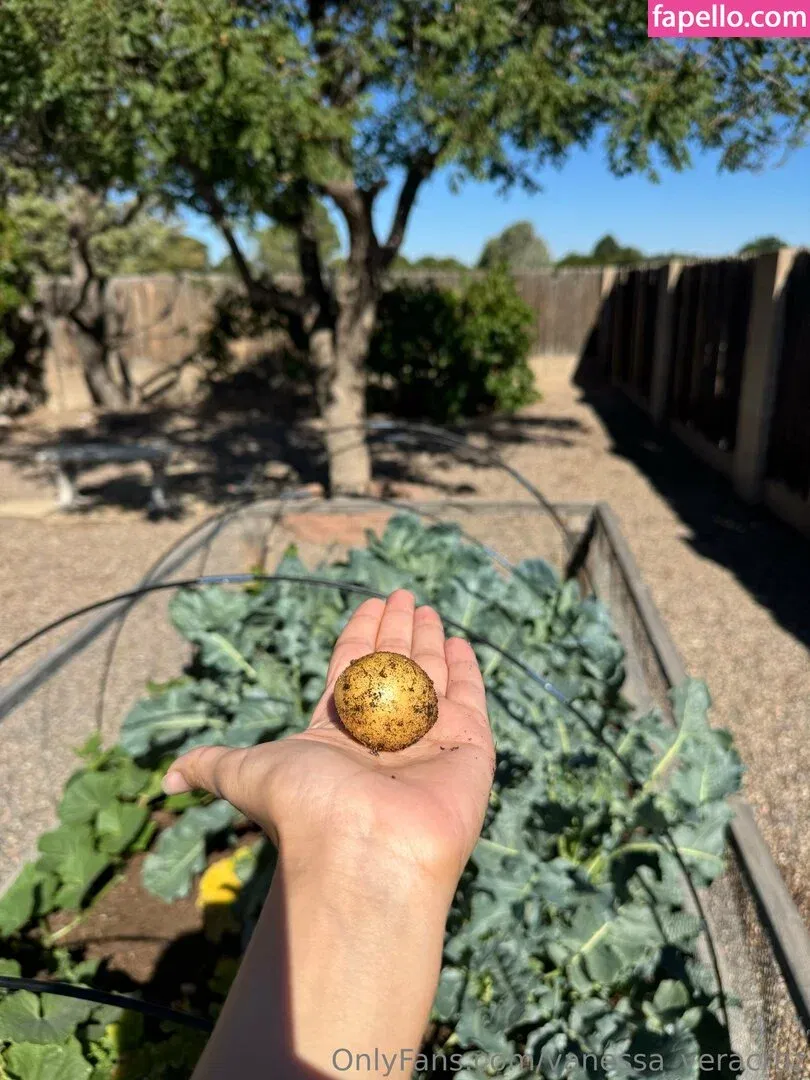 Vanessa Veracruz Onlyfans Photo Gallery 