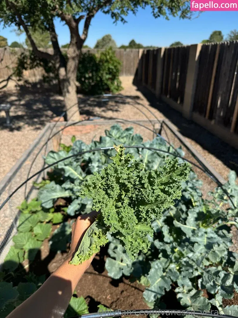 Vanessa Veracruz Onlyfans Photo Gallery 