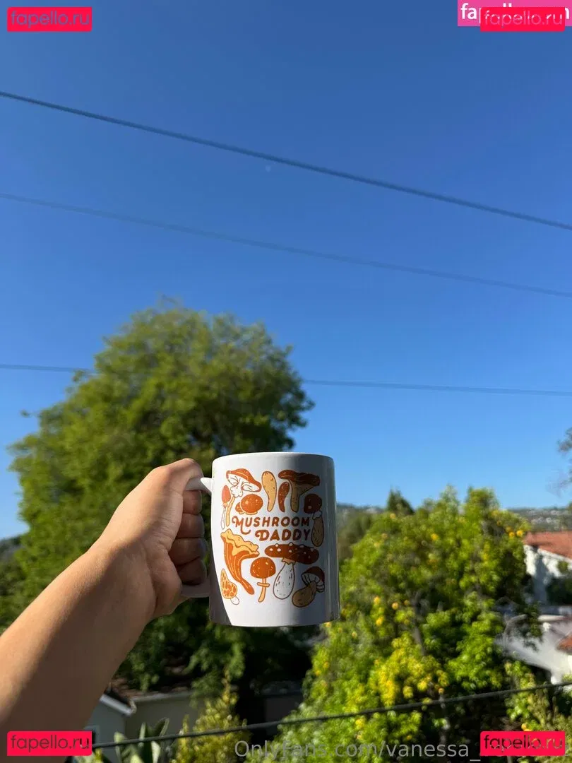 Vanessa Veracruz Onlyfans Photo Gallery 