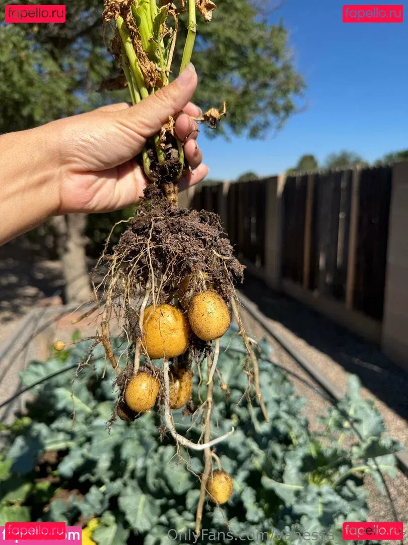 Vanessa Veracruz Onlyfans Photo Gallery 