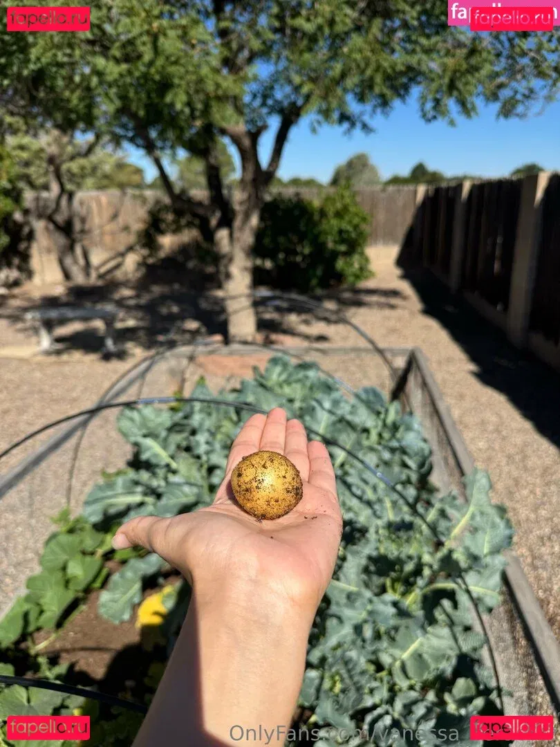 Vanessa Veracruz Onlyfans Photo Gallery 