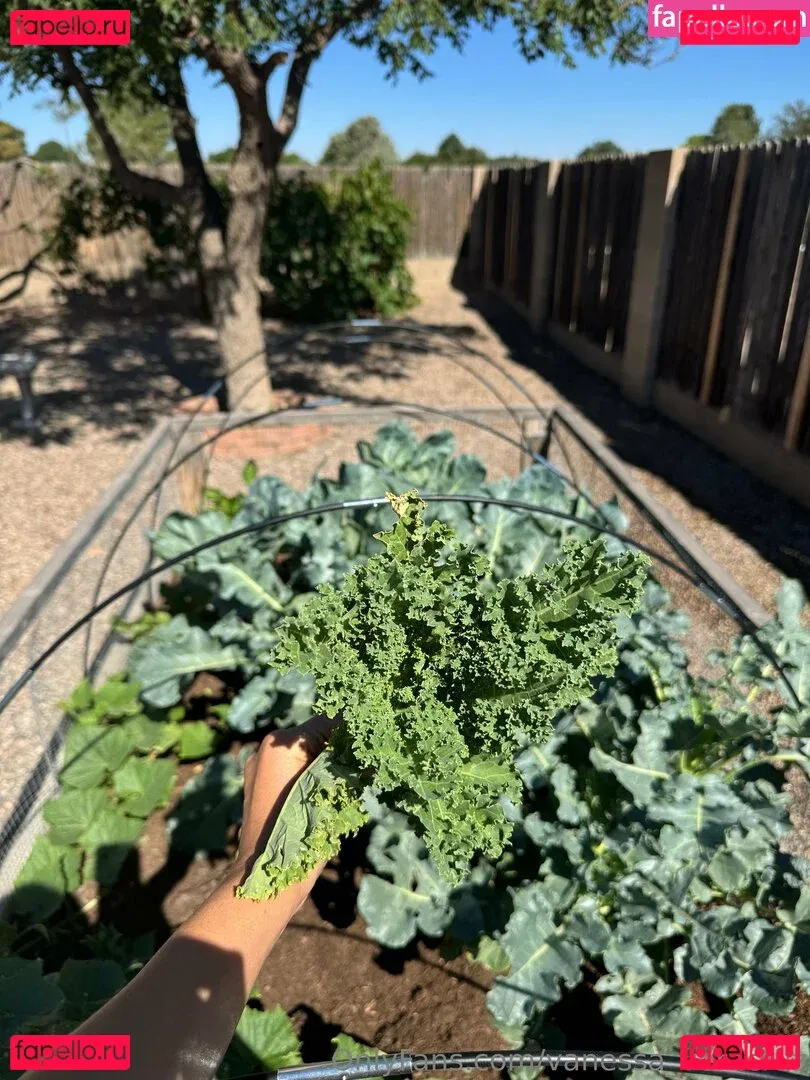 Vanessa Veracruz Onlyfans Photo Gallery 