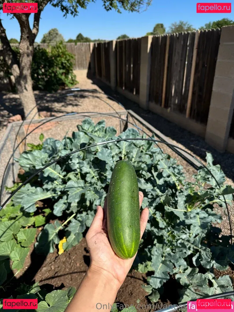 Vanessa Veracruz Onlyfans Photo Gallery 