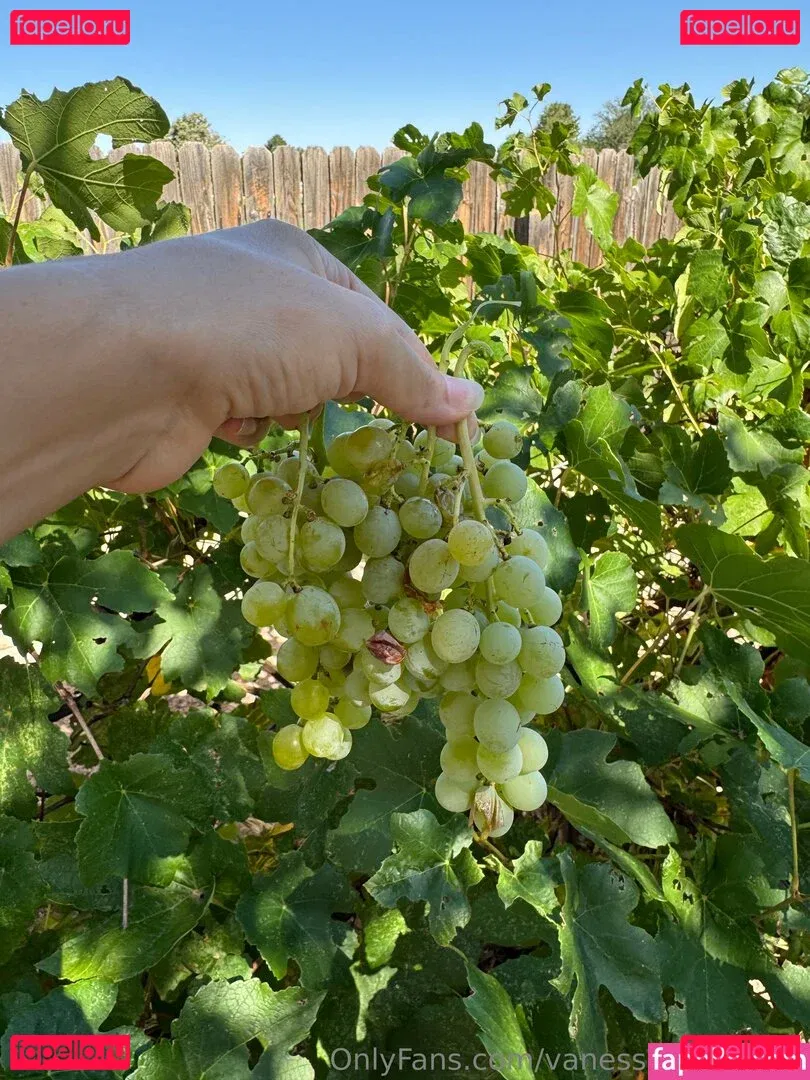 Vanessa Veracruz Onlyfans Photo Gallery 