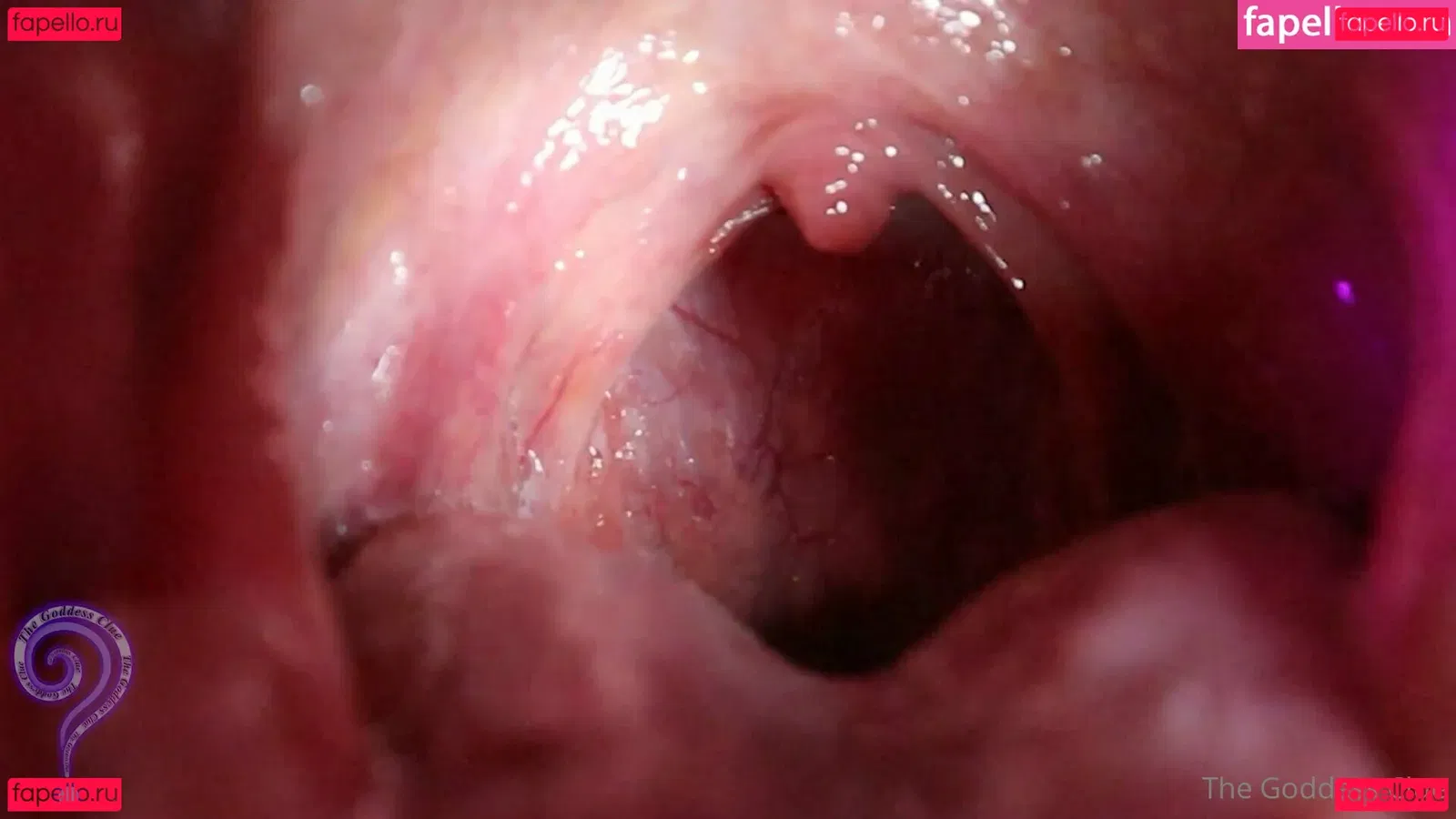 the-goddess-clue Onlyfans Photo Gallery 