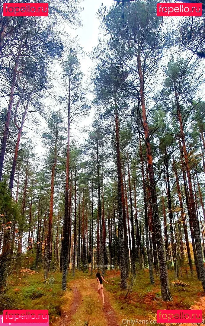 xBlackpanda88x Onlyfans Photo Gallery 