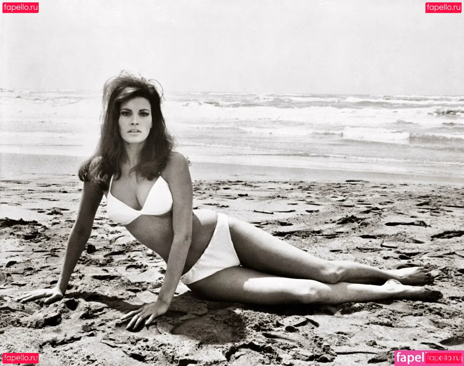 Raquel Welch Onlyfans Photo Gallery 