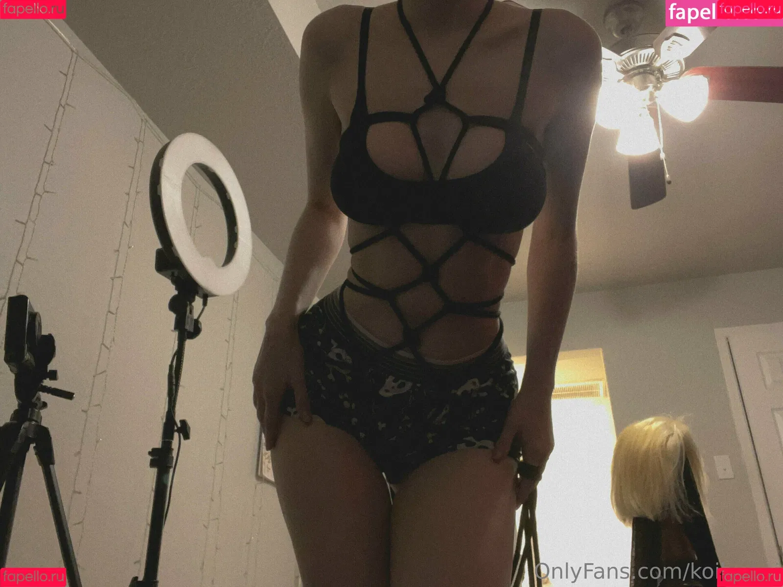 KoiBunni Onlyfans Photo Gallery 