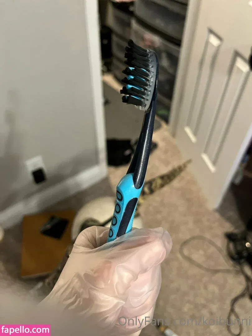 KoiBunni Onlyfans Photo Gallery 