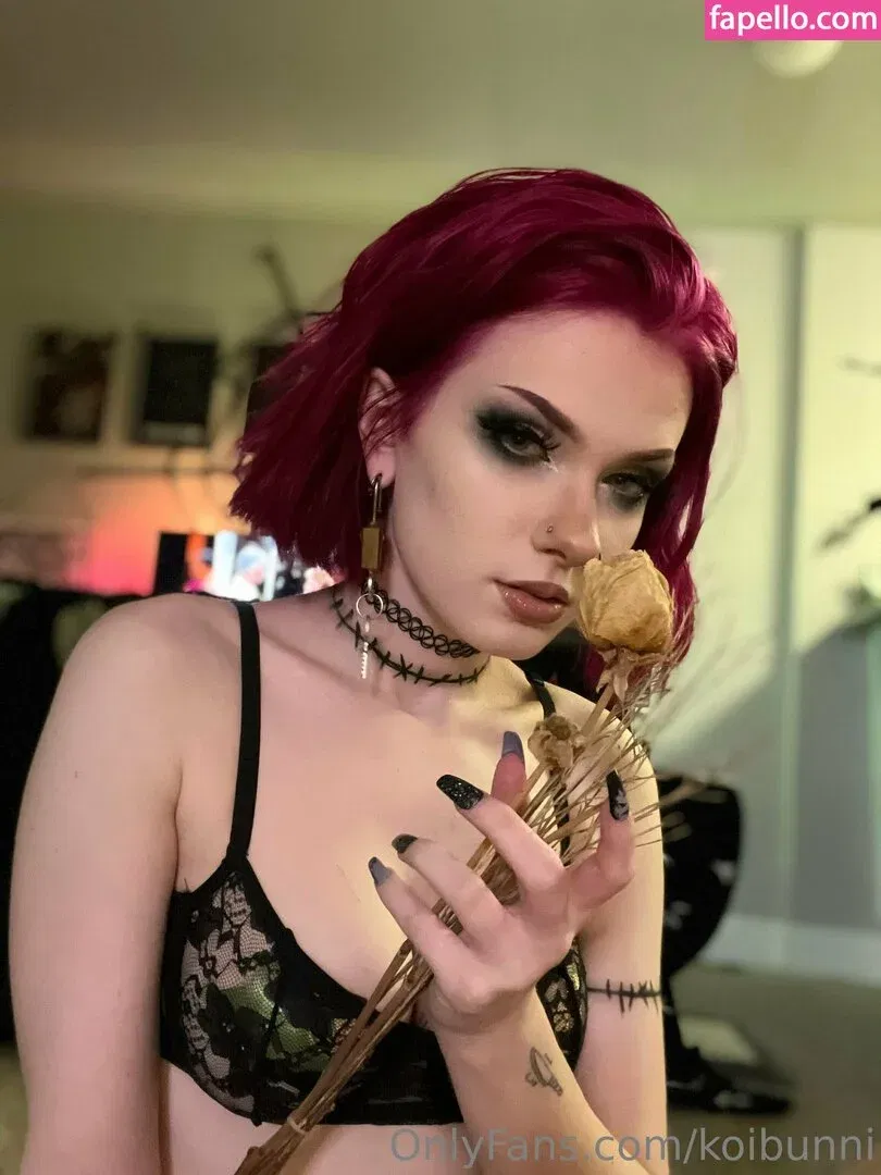 KoiBunni Onlyfans Photo Gallery 