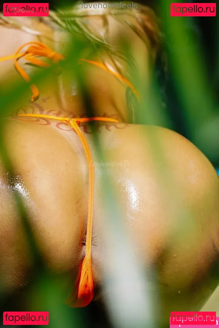 Sarah Schmidt Onlyfans Photo Gallery 