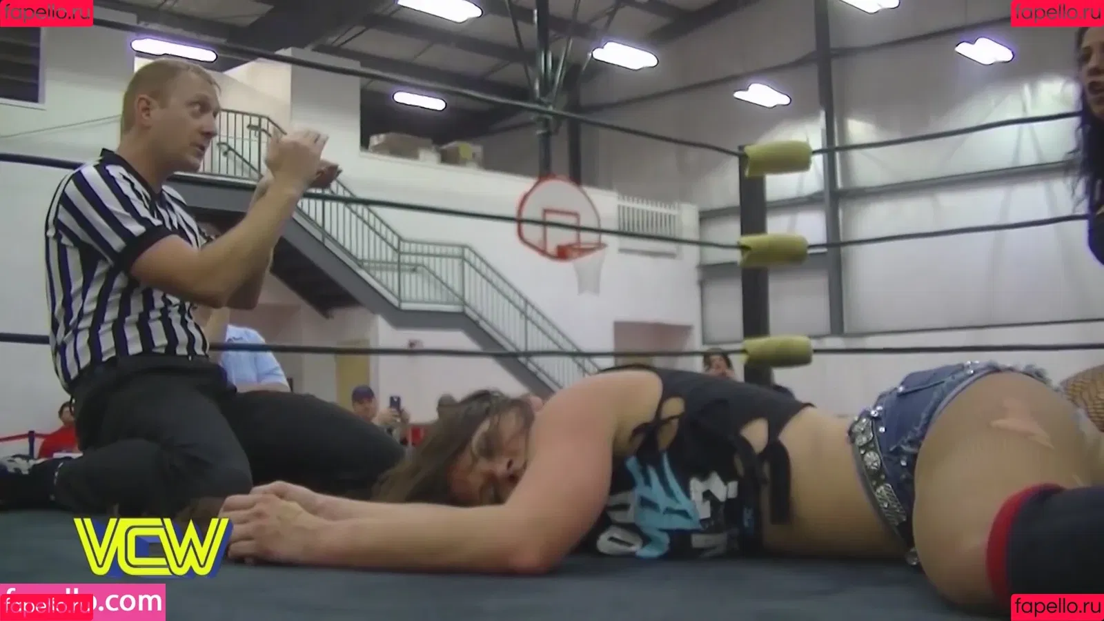 Mickie James Onlyfans Photo Gallery 
