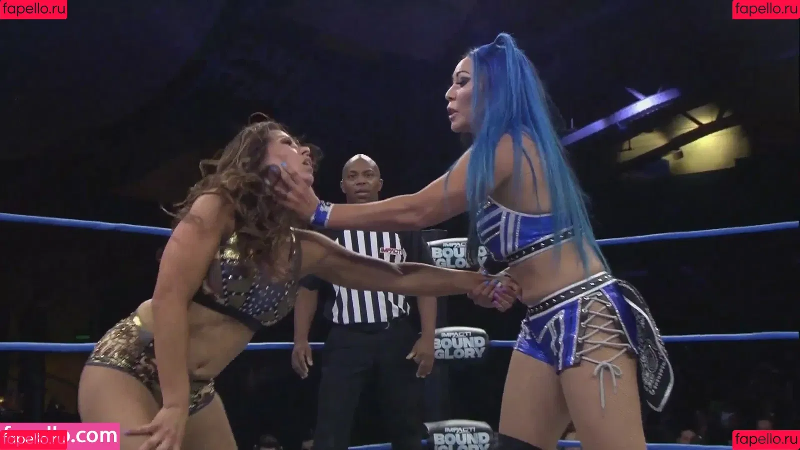 Mickie James Onlyfans Photo Gallery 