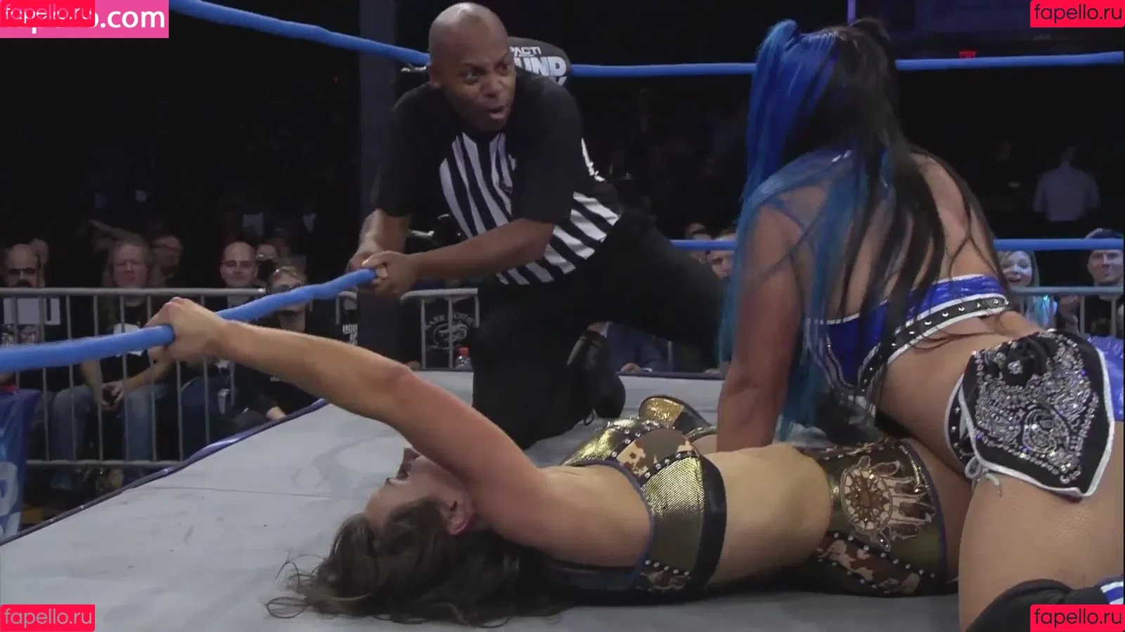 Mickie James Onlyfans Photo Gallery 